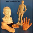 akupunktur-cihazi-ve-maketleri