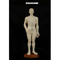 AKUPUNKTUR-TAM-BOY-MAKET