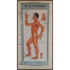 AKUPUNKTUR POSTERİ TAM BOY_AKUPUNKTUR VÜCUT HARİTASI