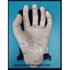 AKUPUNKTUR_EL MAKETİ_AKUPUNKTUR NOKTALARINI GÖSTEREN MAKET