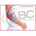CASE & ABC ÖRME DİRSEKLİK