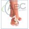 CASE PLASTİK APARATLI HALLUX VALGUS GECE ATELİ