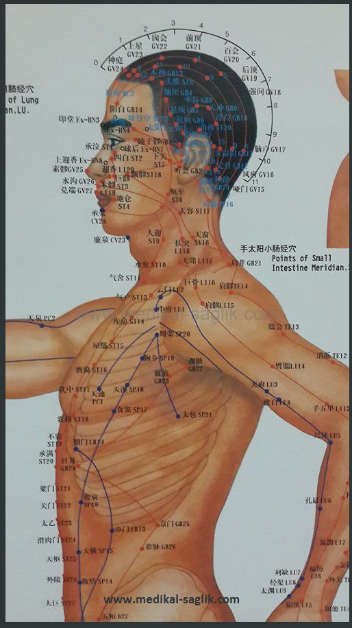 akupunktur haritası
