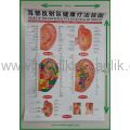 AKUPUNKTUR POSTER SETİ_3 LÜ SET  VE AKUPUNKTUR NOKTA KİTAPÇIĞI