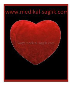Ortopedi Urunleri Ortopedik Yastiklar Kalp Yastigi By Pass Ameliyati Sonrasi Kullanilan Yastik Www Medikal Saglik Com