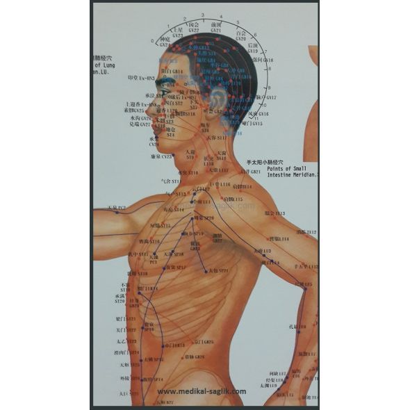 AKUPUNKTUR POSTERİ TAM BOY_AKUPUNKTUR VÜCUT HARİTASI